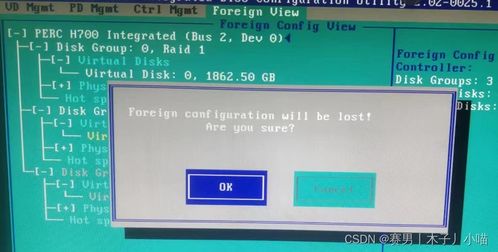 Dell服務器RAID5磁盤陣列故障解決 熱備盤制作與壞盤替換詳解