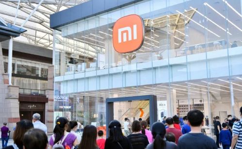 雷軍放話小米對標蘋果 為何社會支持難以比肩華為？